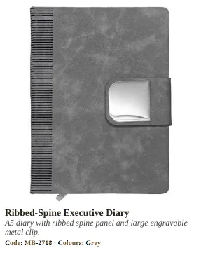 Diaries, Notebooks & Planners product from VARMAN catalogue, page 61